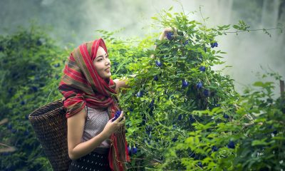 Kırsal Kalkınma ve Tarımsal İnovasyon Sloganları